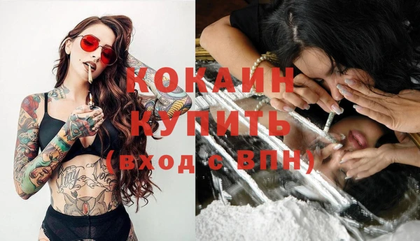 дживик Алзамай