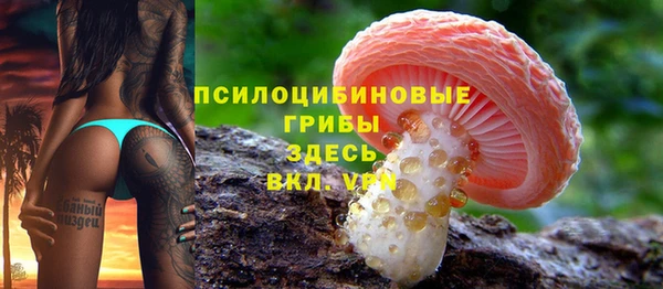 дживик Алзамай