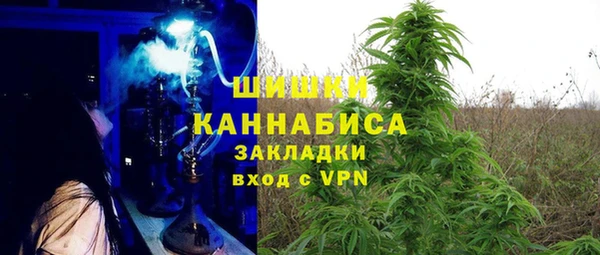 дживик Алзамай