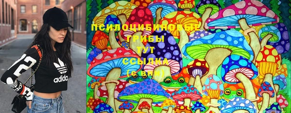 дживик Алзамай